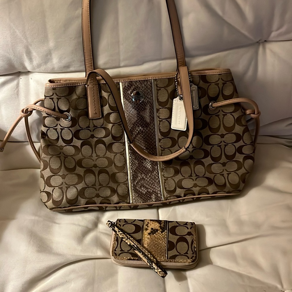 Coach signature snakeskin bag / wallet